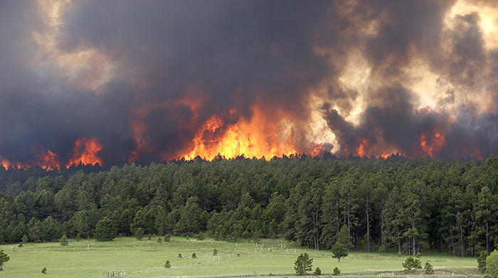 Correlation Between Forest Fires And Climate Change - 