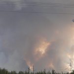 wildfire preparedness