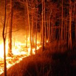 lightning-sparked-wildfires