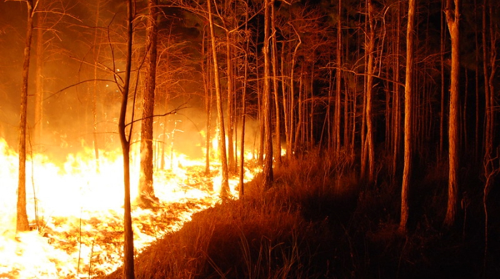 lightning-sparked wildfires