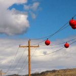 regulatory audits