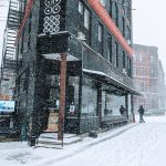 winter-storm-fern