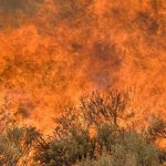 wildfire detection