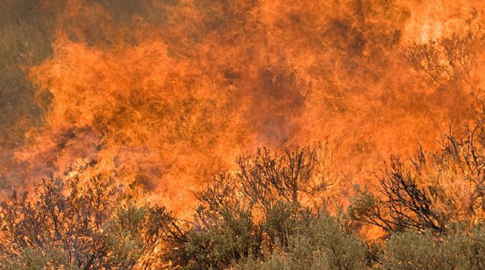 wildfire detection