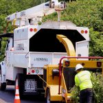 utility vegetation management