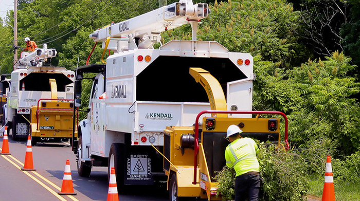 utility vegetation management