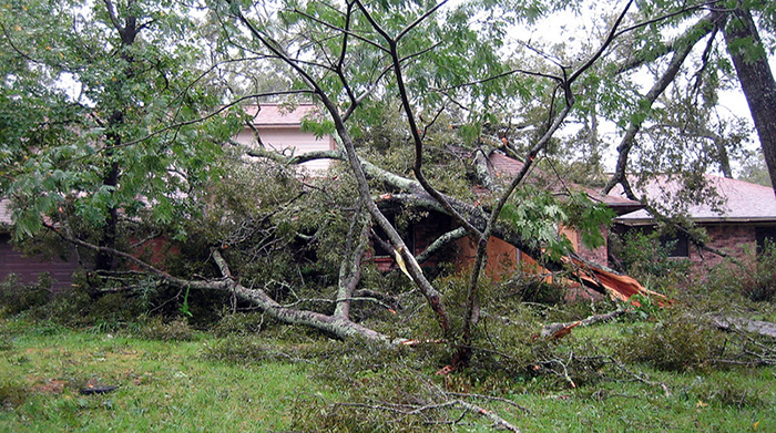 2026 hurricane season