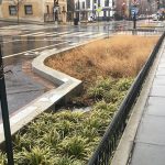 stormwater sponges