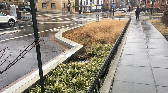 stormwater sponges