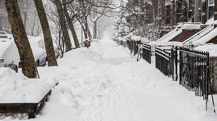winter 2026